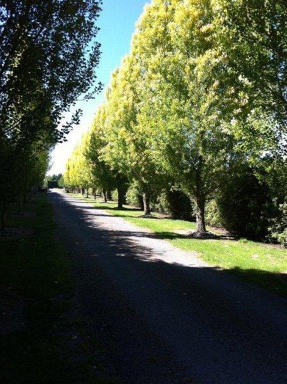 The Meadows Villa Christchurch Dış mekan fotoğraf